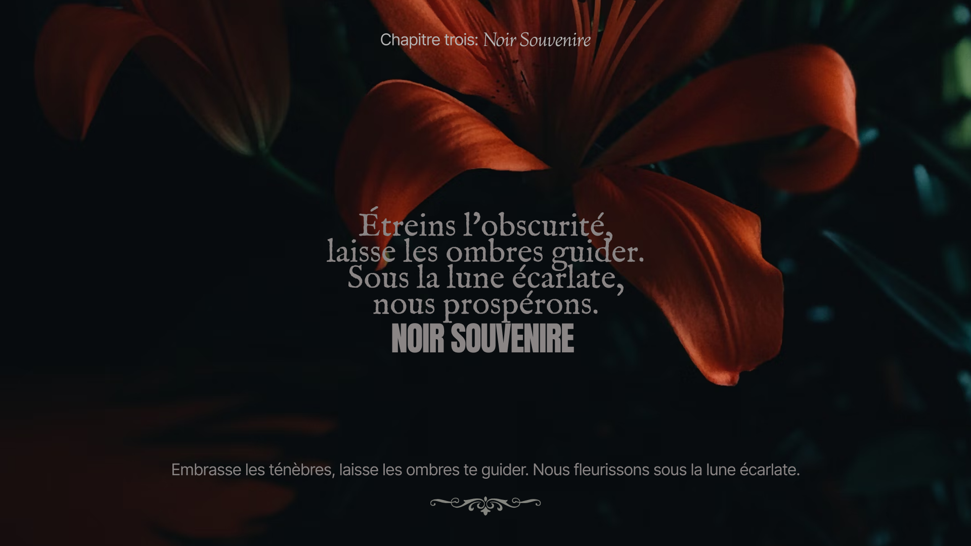 Noir Souvenir 02 archive project