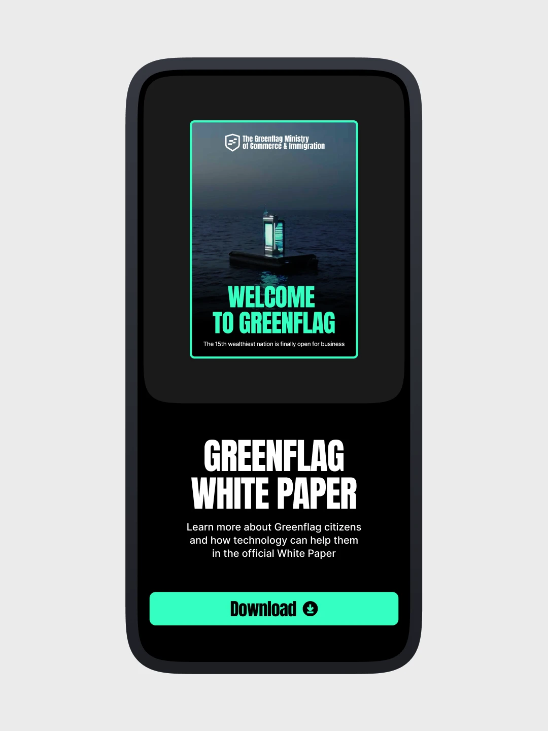Greenflag visual 24